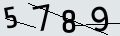 verifycode